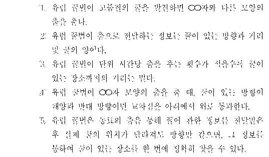 선택지 원문 이미지